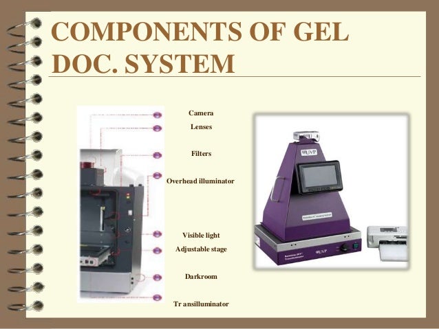 applications of gel documentation system