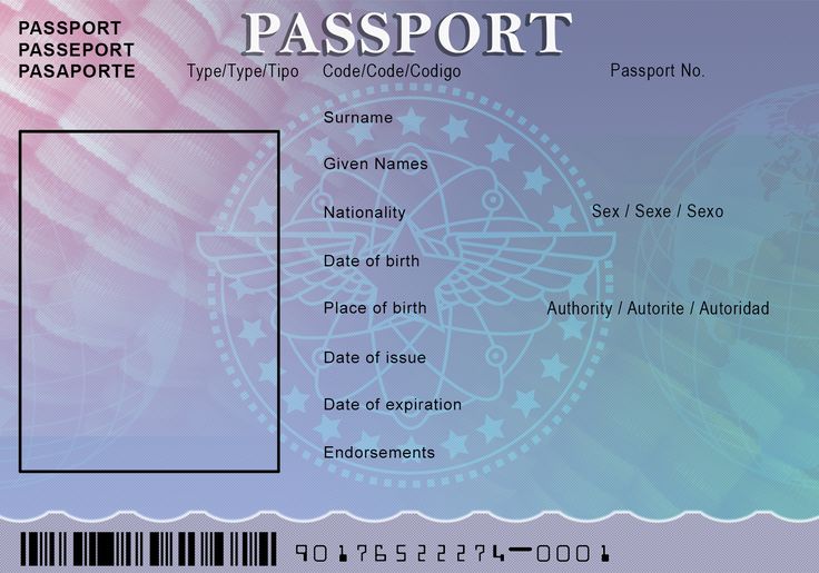 austraila international driving license application