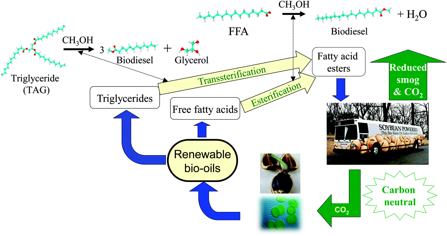 fatty acids chemistry synthesis and applications