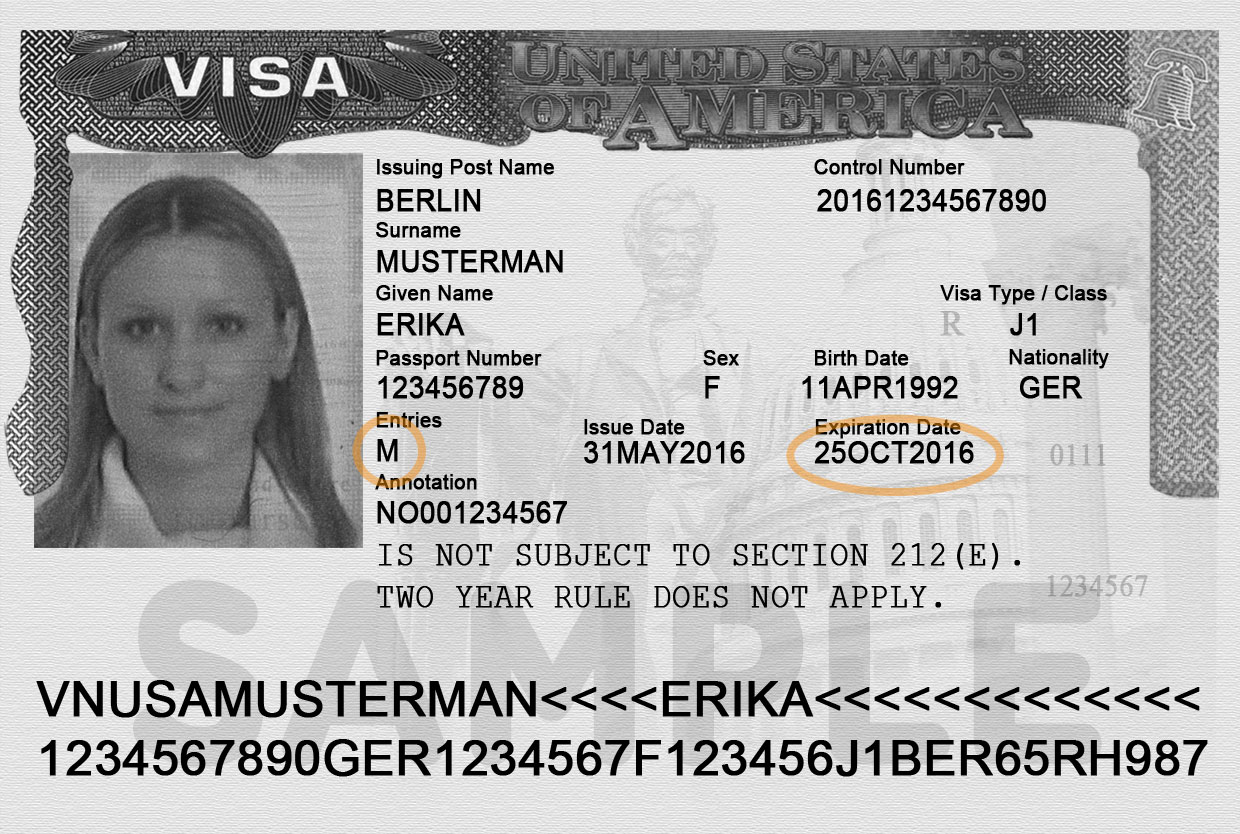 is visa number same as application id